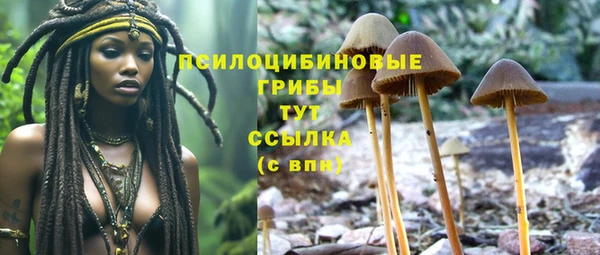 герыч Заводоуковск