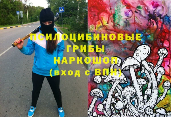 молекула духа Заволжье