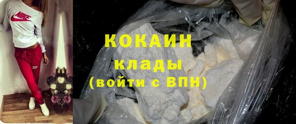 PSILOCYBIN Ельня