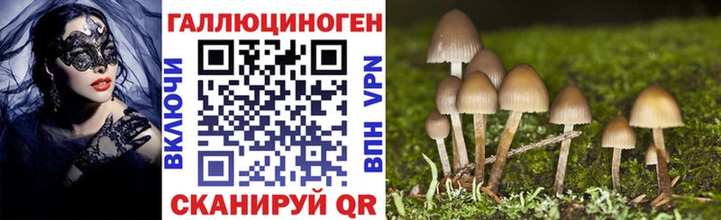 Купить где  Михайлов  Псилоцибиновые грибы Psilocybe 